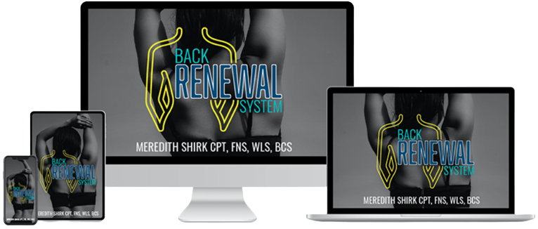 Back Renewal System Program